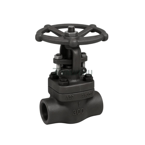 Forged Steel Globe Valve Class 800-1500 A105 SW NPT Handwheel Operated